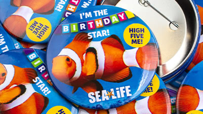 I’m the Birthday Star 3" Button for Sea Life Theme Park