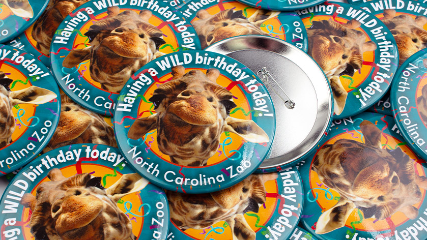 Large 4" Birthday Pins for North Carolina Zoo