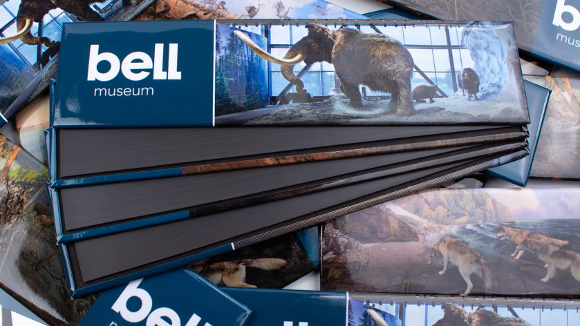 2x8 Souvenir Magnets for Bell Museum in Minnesota