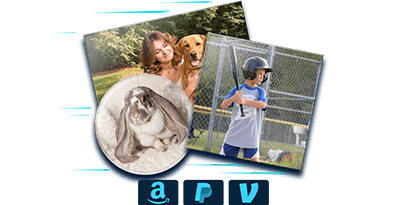 Express checkout with Amazon Pay, Paypal or Venmo