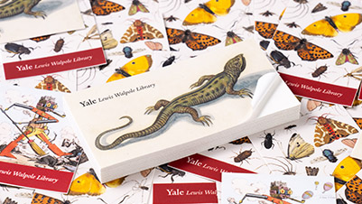 Rectangle Stickers with Matte Finish for Yale University Lewis Walpole Library