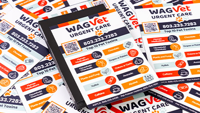 Rectangle Flexible Magnets for WagVet Urgent Pet Care