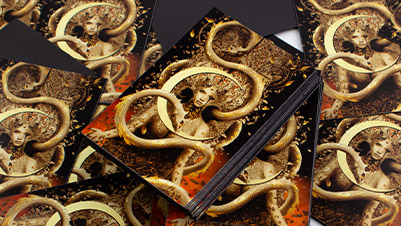 Rectangle Flexible Magnets for House of Flame and Shadow by Sarah J. Maas