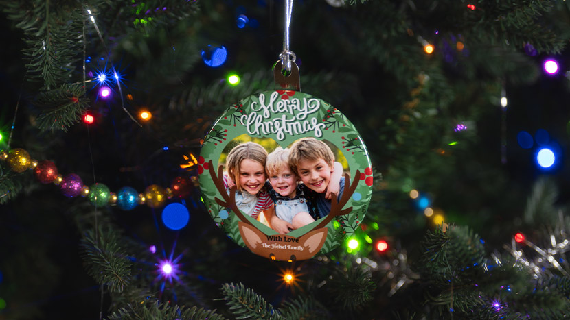 Shy Reindeer Christmas Photo Gift Template
