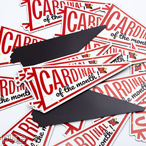 Cardinal of the Month Pennant Shaped Magnets